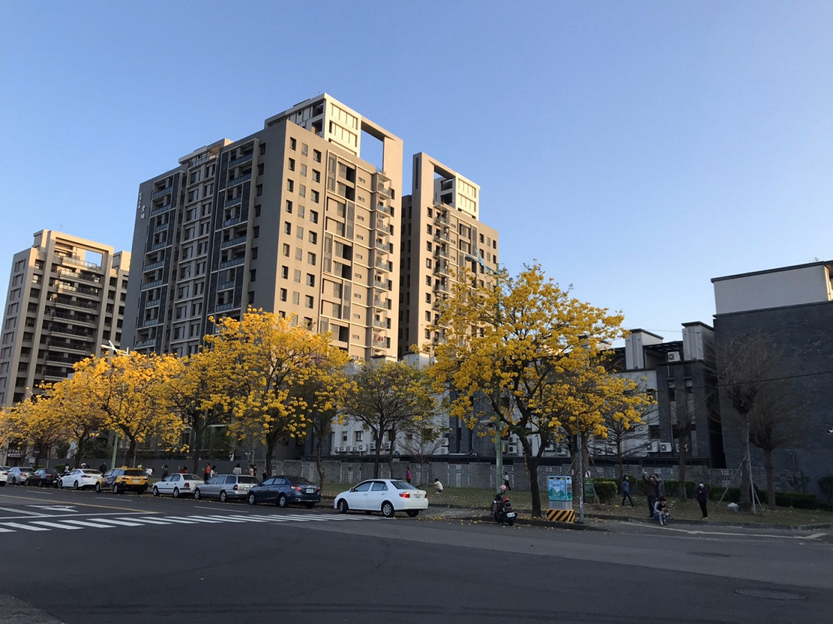 北屯區廍興公園及周邊花況。 圖：台中市建設局／提供