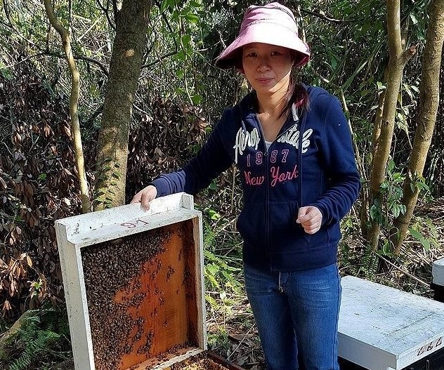 三峽區「昌輝養蜂場」女青農孫霞堅持蜂蜜品質。  圖：新北市農業局提供