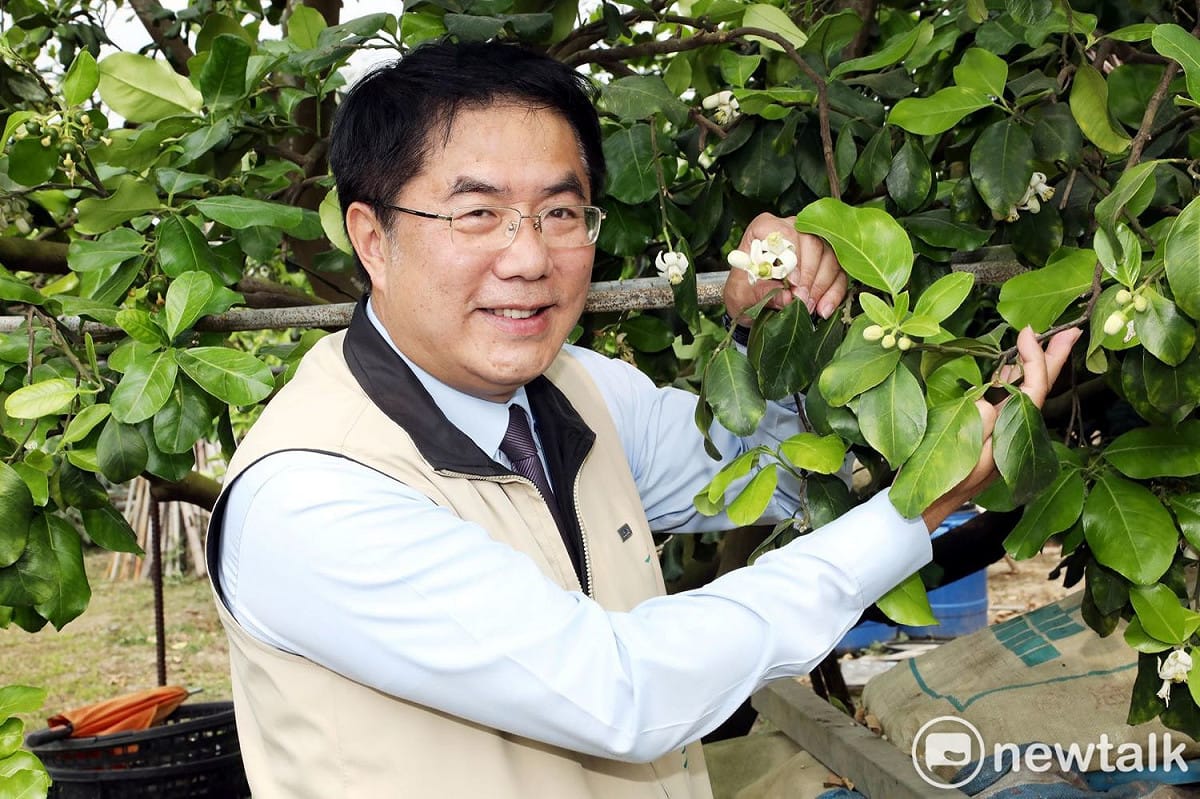 台南市長黃偉哲到麻豆視察柚花開花情形。 圖：黃博郎／攝