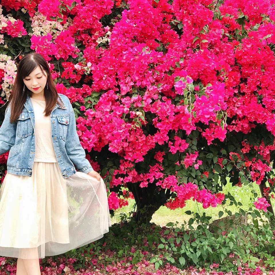 網美在嘉義仁義潭水庫旁的九重葛花道外拍，視覺效果奇佳。 圖：網美小真/提供