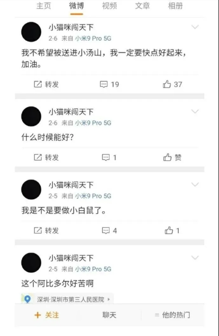 微博「小貓咪闖天下」的網友發文 圖：翻攝自微信官方帳號