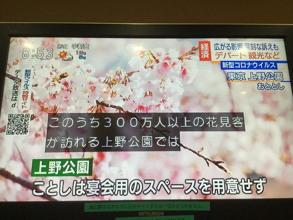 東京上野公園因為遵守政府不群聚指示，今年不設地墊區，不准鋪設放水布墊飲酒作樂。 圖：翻攝自NHK新聞報導
