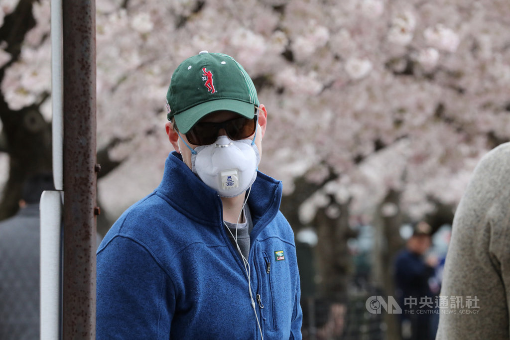 美國首府華盛頓櫻花21日達到盛開期，有人配戴口罩賞櫻，以避免感染2019年冠狀病毒疾病（COVID-19）。 圖/中央社