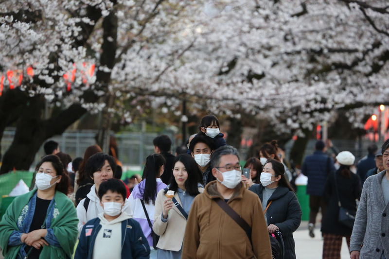 受到武漢肺炎疫情影響，東京都政府宣布在旗下管轄的公園、河川地民眾不得辦櫻花宴，今年賞櫻氣氛不如往年熱絡，可看到許多遊客戴口罩。 圖:中央社