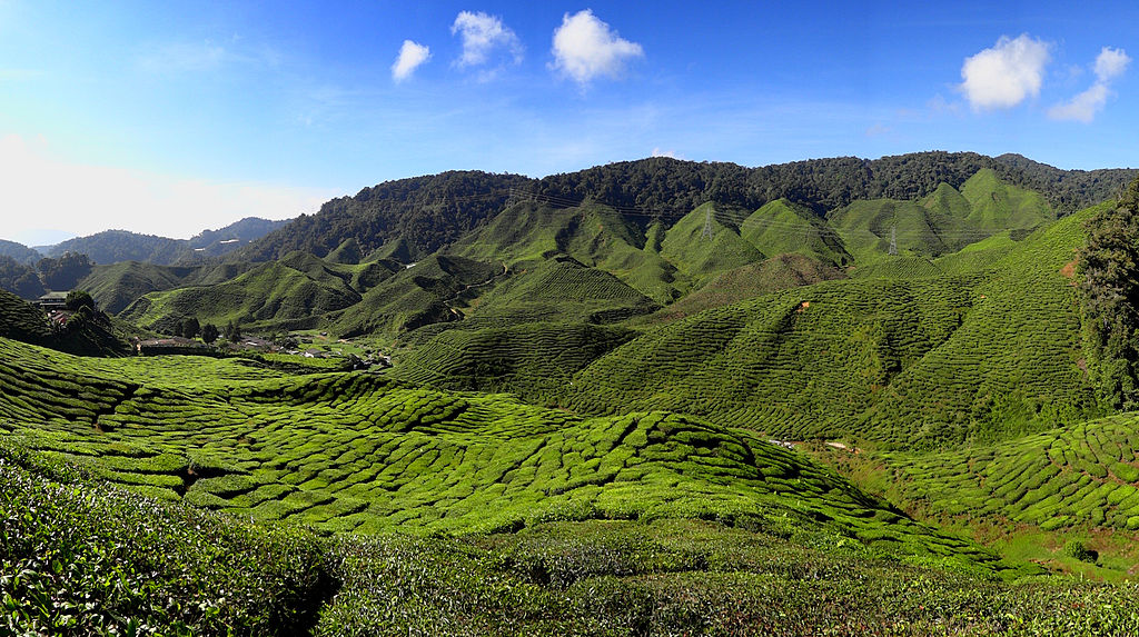 蘇格蘭高地風景怡人，人口密度少於相近緯度的瑞典和挪威等地，竟成為英國民眾「禁足令」實行後大量前往的地方。 翻攝自google