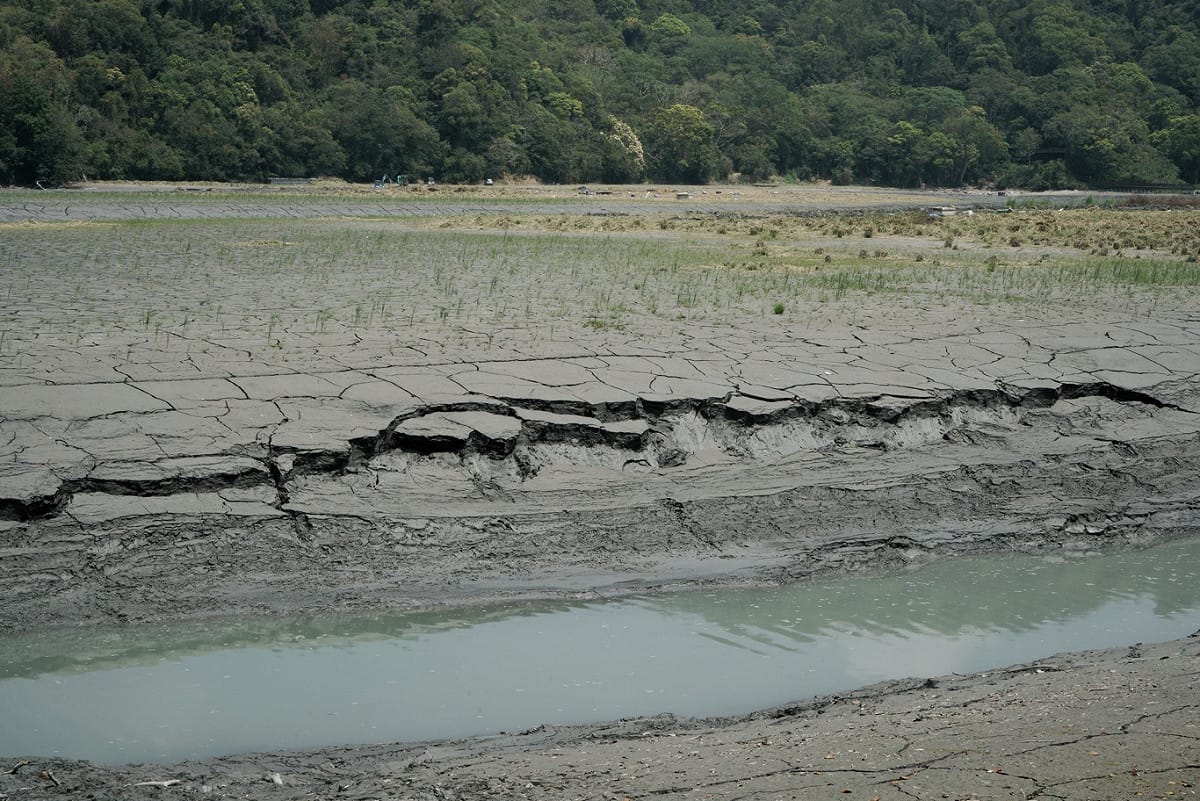 由於連續兩三年颱風過門不入，山區雨量少，今年乾旱現象嚴重，日月潭水位不斷下降，泥土裸露龜裂。 圖：張良一/攝