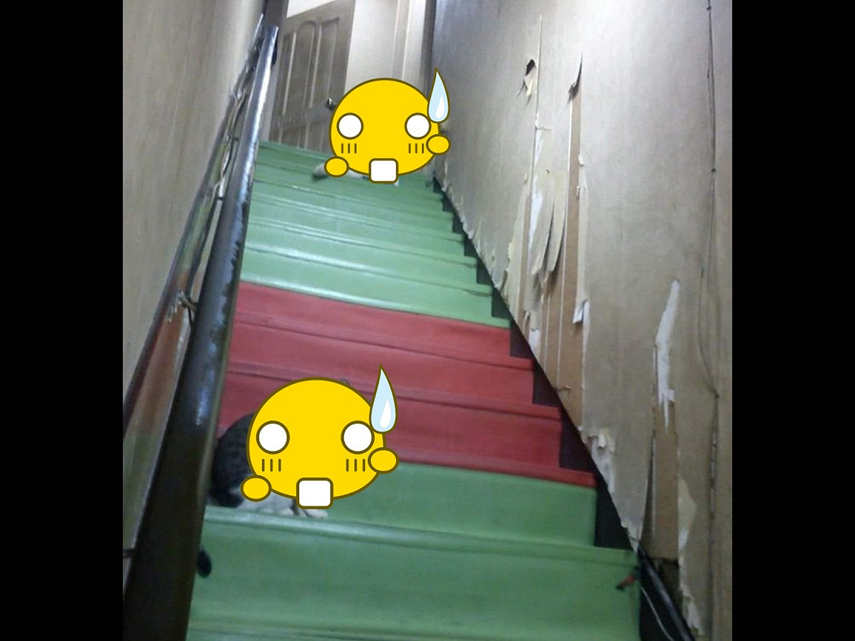 先生，罐罐呢？你覺得沒有罐罐可以上去嗎？ 圖／網友Hugo Hugo提供