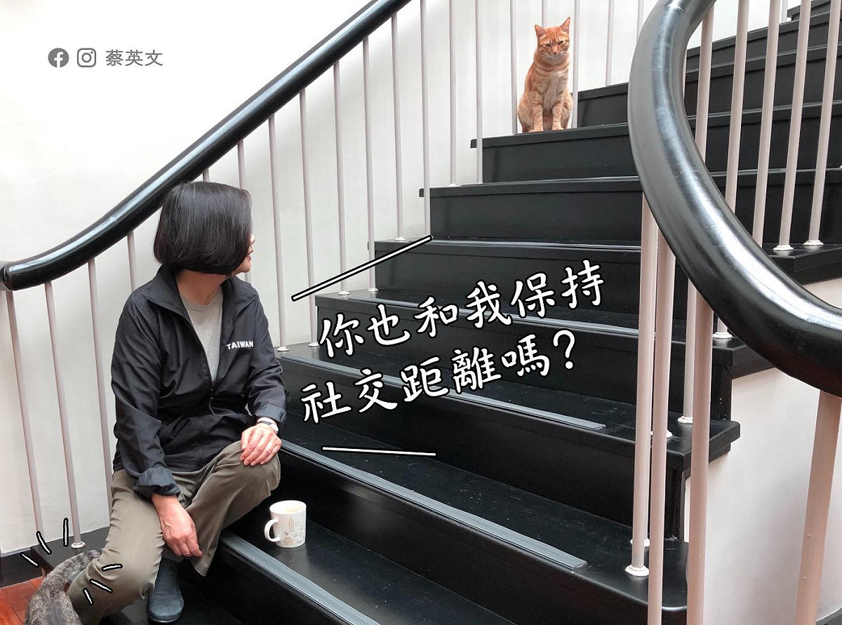 總統蔡英文今(3)日透過臉書，提醒民眾與不特定人需要保持社交距離，但與特定對象，如家中的特定的貓則不用。 圖:擷自蔡英文臉書