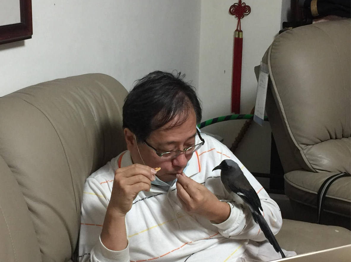 全國公務人員協會榮譽理事長李來希以他家的雀鳥為例，指稍微給點甜頭，就聽話溫馴無比。 圖：翻攝自李來希臉書