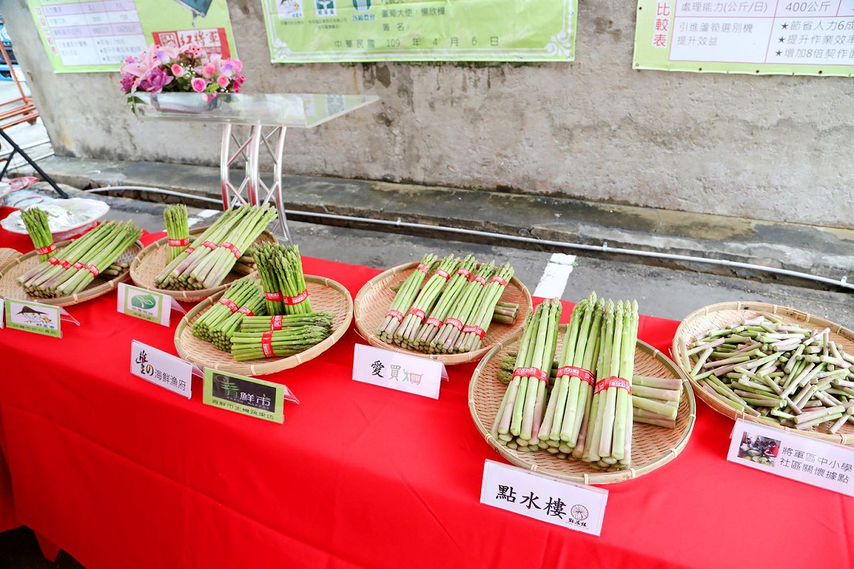蘆筍在國際市場上享有「蔬菜之王」美譽，將軍區栽種面積達40公頃且年產量約960公噸，產值約新台幣1.2億元。 圖：黃博郎／攝