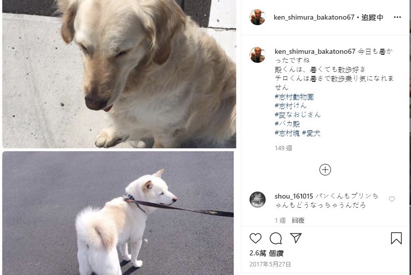 志村健養的兩隻愛犬。 圖：擷取志村健IG
