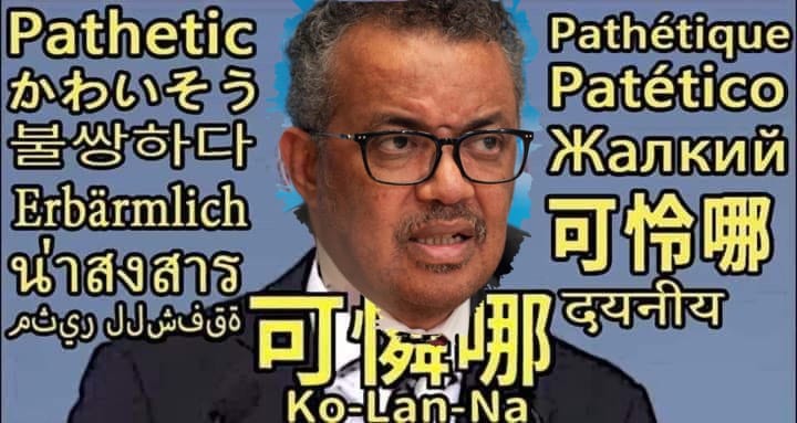 WHO秘書長譚德塞昨天在直播記者會狂轟台灣三分鐘。 圖：林若伊／提供