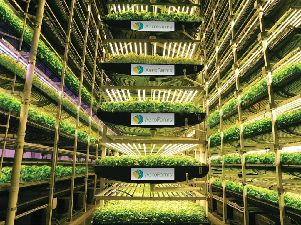 美國新創公司「AeroFarms」為垂直農場領域的佼佼者，在「FoodTech 500」中排行第一。 圖：取自AeroFarms官網