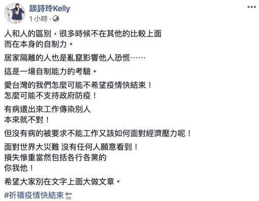 談詩玲深夜喊話蔡總統惹議。 圖：取自談詩玲臉書