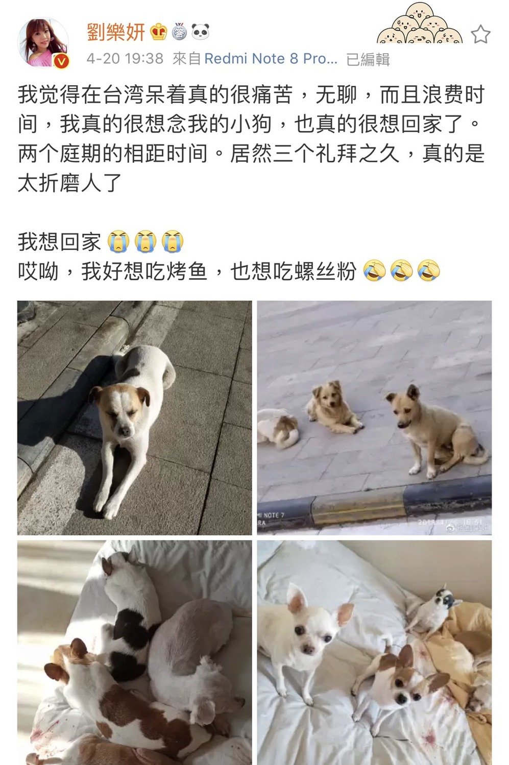 藝人劉樂妍20日在微博發文，表明自己待在台灣真的很痛苦。 圖：擷取劉樂妍微博