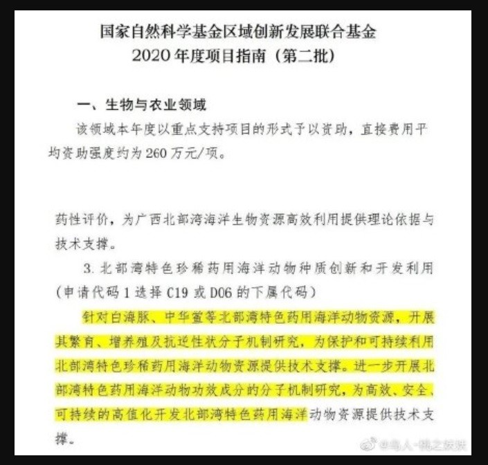 國家自然科學基金委員會官網日前公布「國家自然科學基金區域創新發展聯合基金2020年度項目指南（第二批）」文件，內容中清楚記載，將白海豚列為藥物研究一事。 圖：翻攝自微博