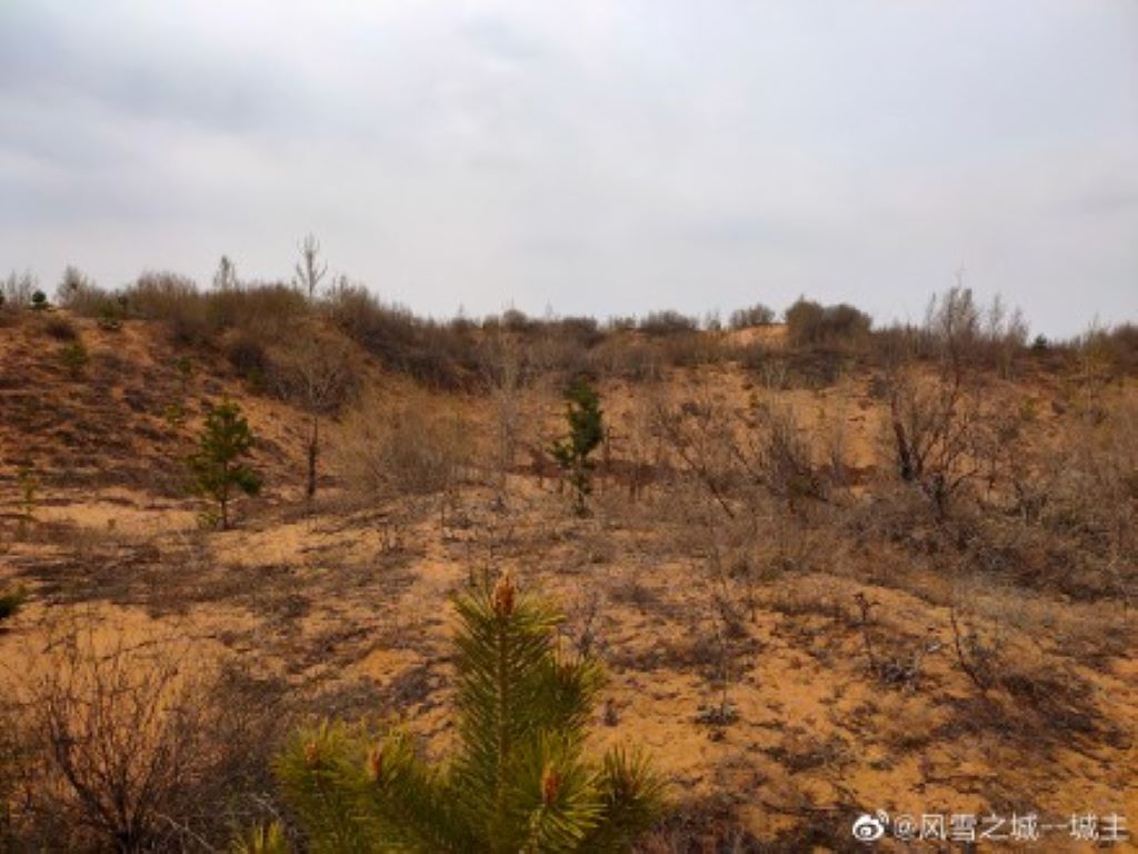 毛烏素沙漠因人類不當開發，原本的美景遭到嚴重破壞，逐漸變成了茫茫大漠。 圖：翻攝自微博
