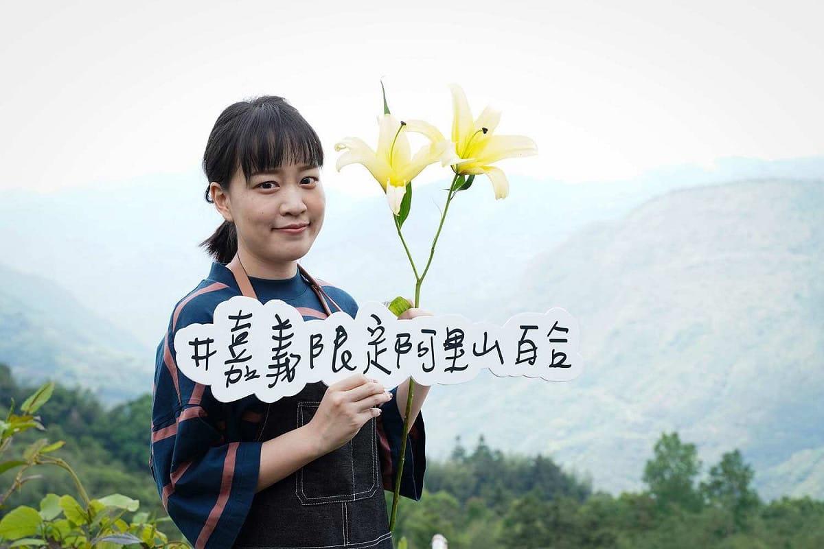 嘉義縣阿里山的百合花可以當成母親節禮物。 圖：嘉義縣政府/提供