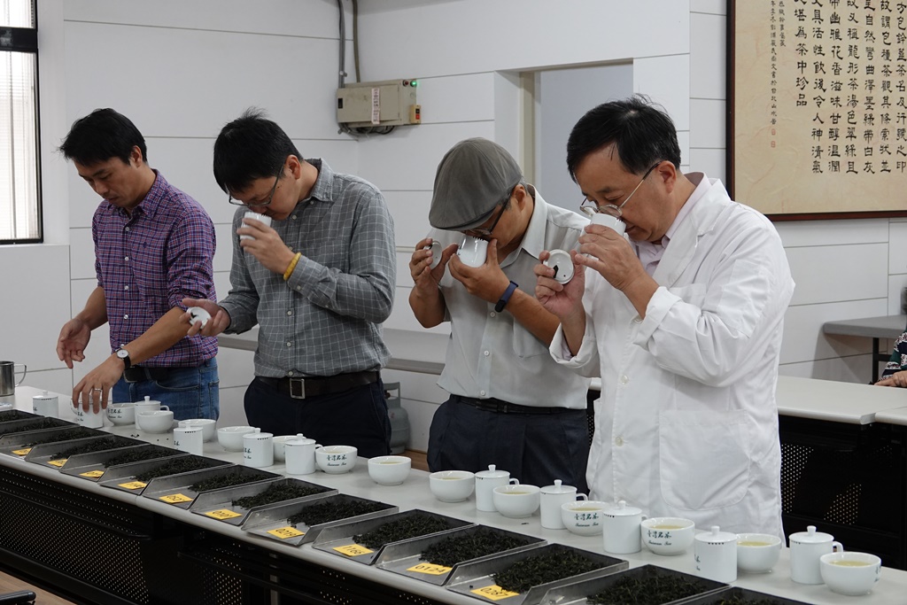 新北市是包種茶的最大產區，技術也最優，民國 100年至今已連續9年抱回全國製茶技術競賽冠軍。 圖：新北市農業局提供