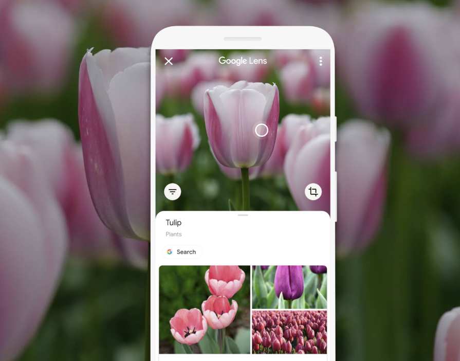 Google Lens是Google的智慧鏡頭APP，可以應用在掃描及翻譯文字，以及辨認圖片物件。 圖：擷取自Google官網
