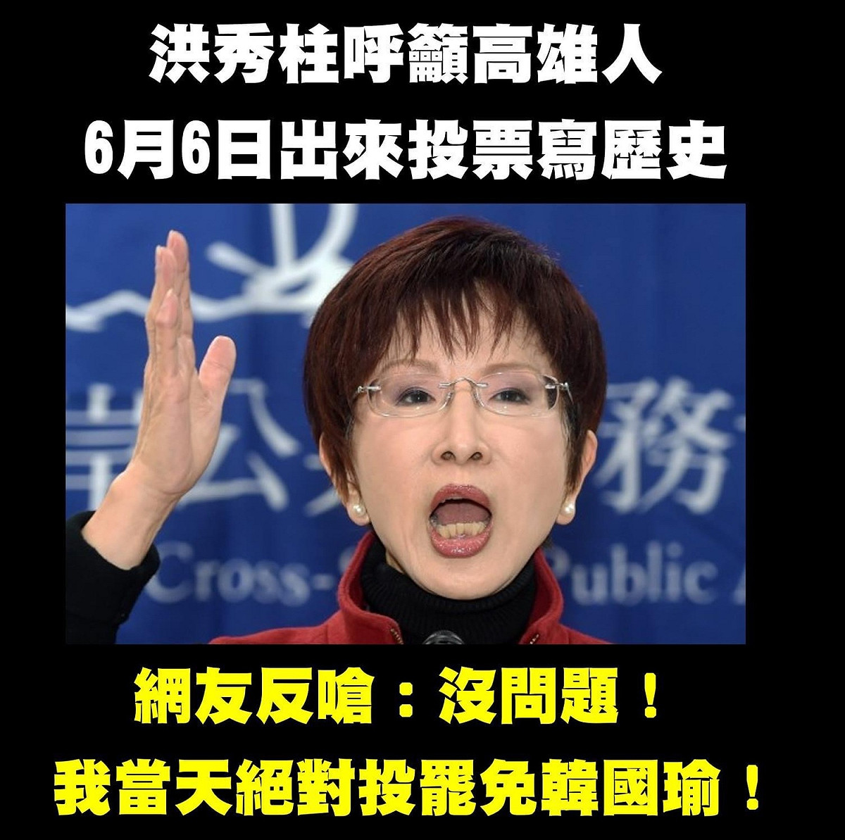 打馬悍將粉絲團臉書回應洪秀柱，表示絕對會出門投票，只是投的是罷免韓國瑜。 圖：取自打馬悍將粉絲團