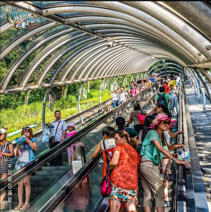香港海洋公園下個月恐面臨破產。 圖：翻攝自香港海洋公園臉書