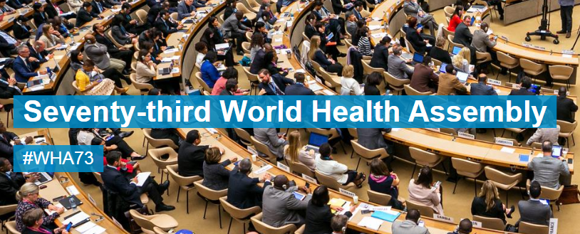 世界衛生大會（WHA）視訊會議今（18）日開議。 圖：翻攝WHO官網