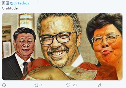 譚德塞在推特上發表「感激（Gratitude）」一個單字感謝各方參與WHA，遭到各國網友留言表達不滿。 圖：翻攝Tedros Adhanom Ghebreyesus推特