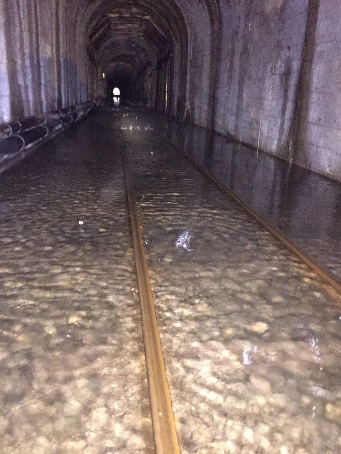 阿里山森林鐵路因豪雨造成隧道內淹水。 圖：林鐵及文資處/提供