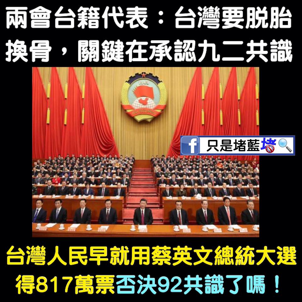 台灣粉專「只是堵藍」今（23）直酸兩會台籍代表是「哪裏來的奇怪代表啦」。 圖：翻攝自「只是堵藍」臉書