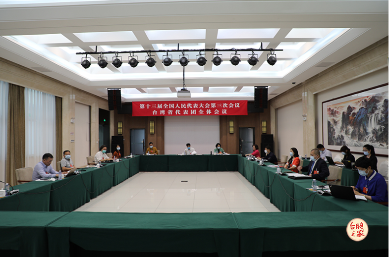 中國第13屆全國人大第三次會議於22日開幕，有13名「台籍人大代表」與會，並召開「台灣省代表團全體會議」。 圖：翻攝自全國台聯網站