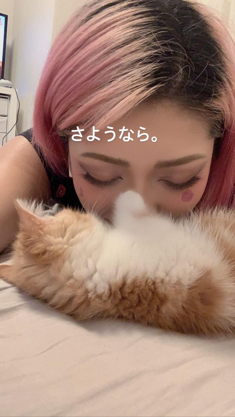 木村花在IG上寫下對愛貓的告白不久後便自縊身亡，令親友與粉絲相當難過不捨。 圖 : 翻攝自木村花IG