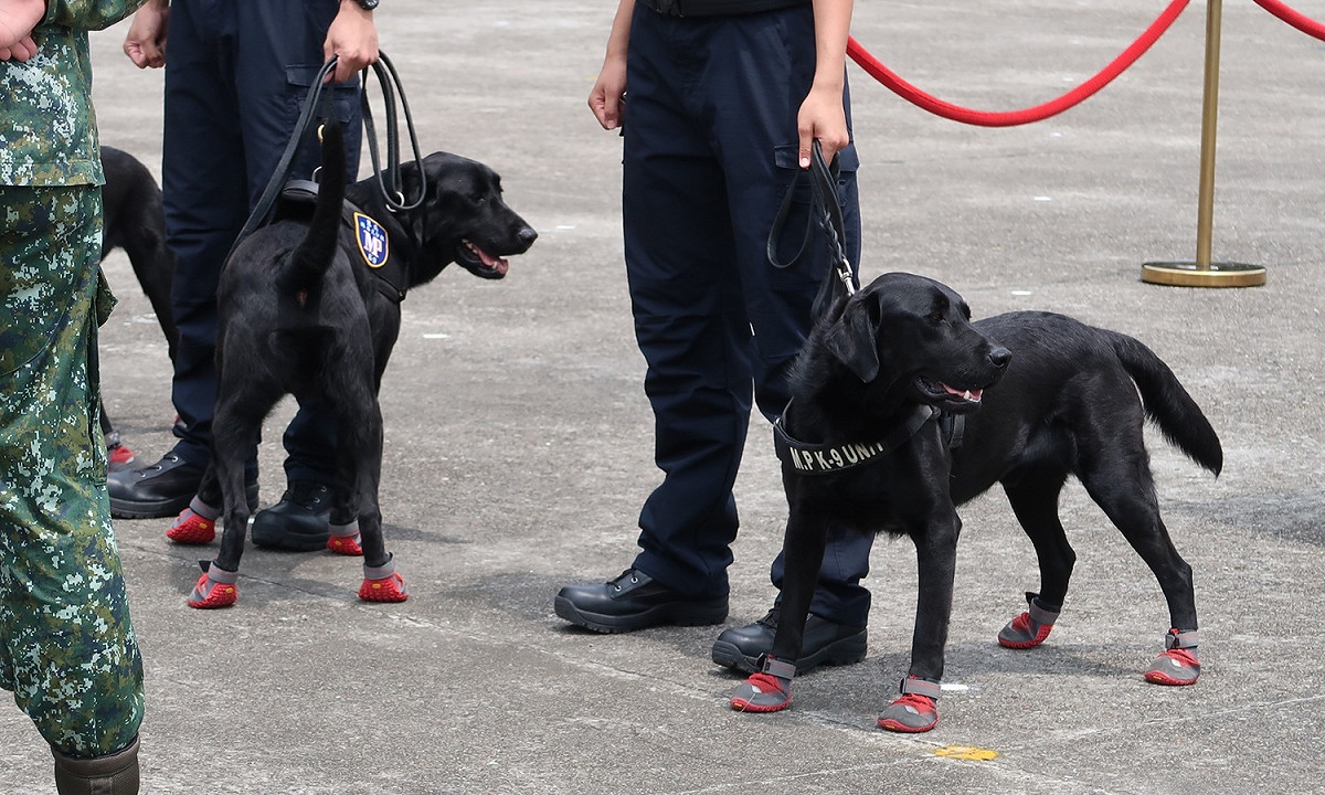 憲兵緝毒犬 圖：林朝億/攝