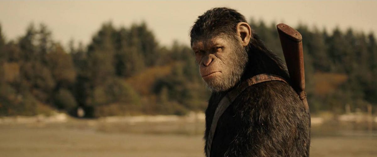 《猩球崛起》（Planet of the Apes）系列電影確定向全新方向繼續發展。 圖：翻攝自二十世紀影業臉書