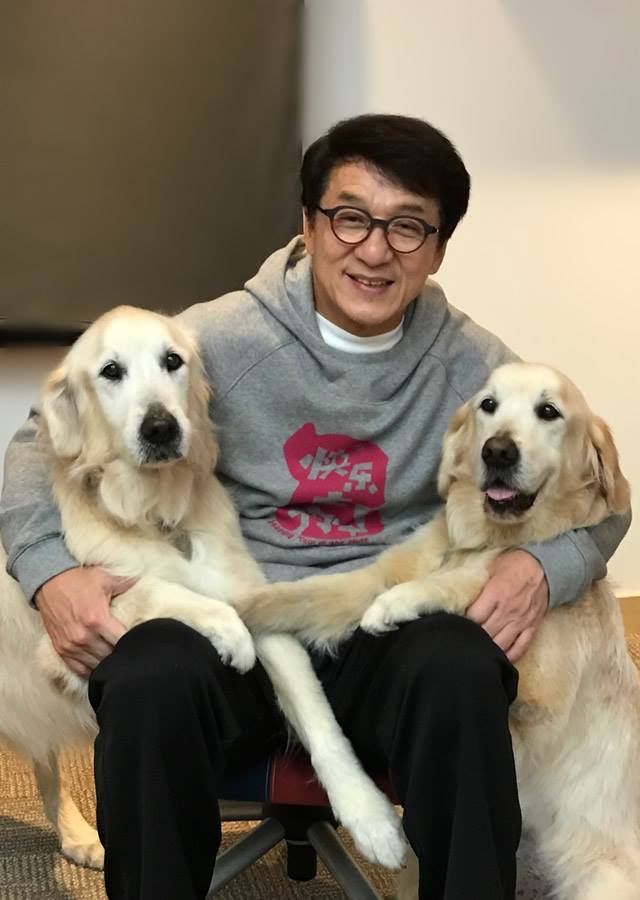 成龍率2605名藝人連署力挺「港版國安法」引發外界撻伐。 圖：翻攝成龍臉書粉絲專頁