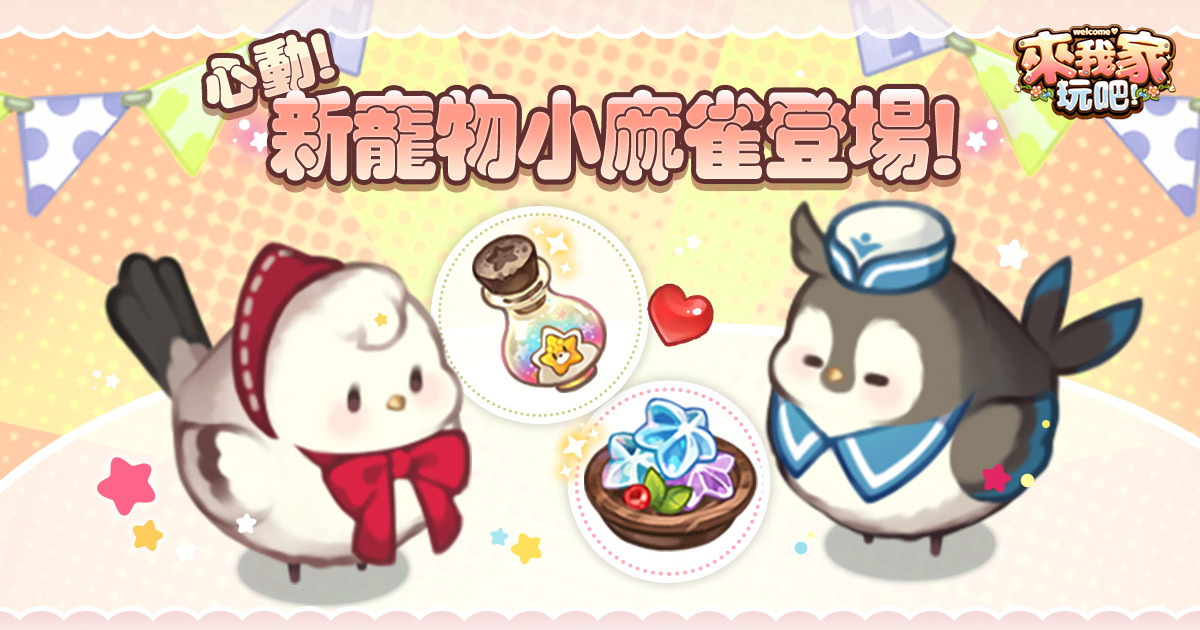新型態寵物小麻雀 圖：華義國際/提供