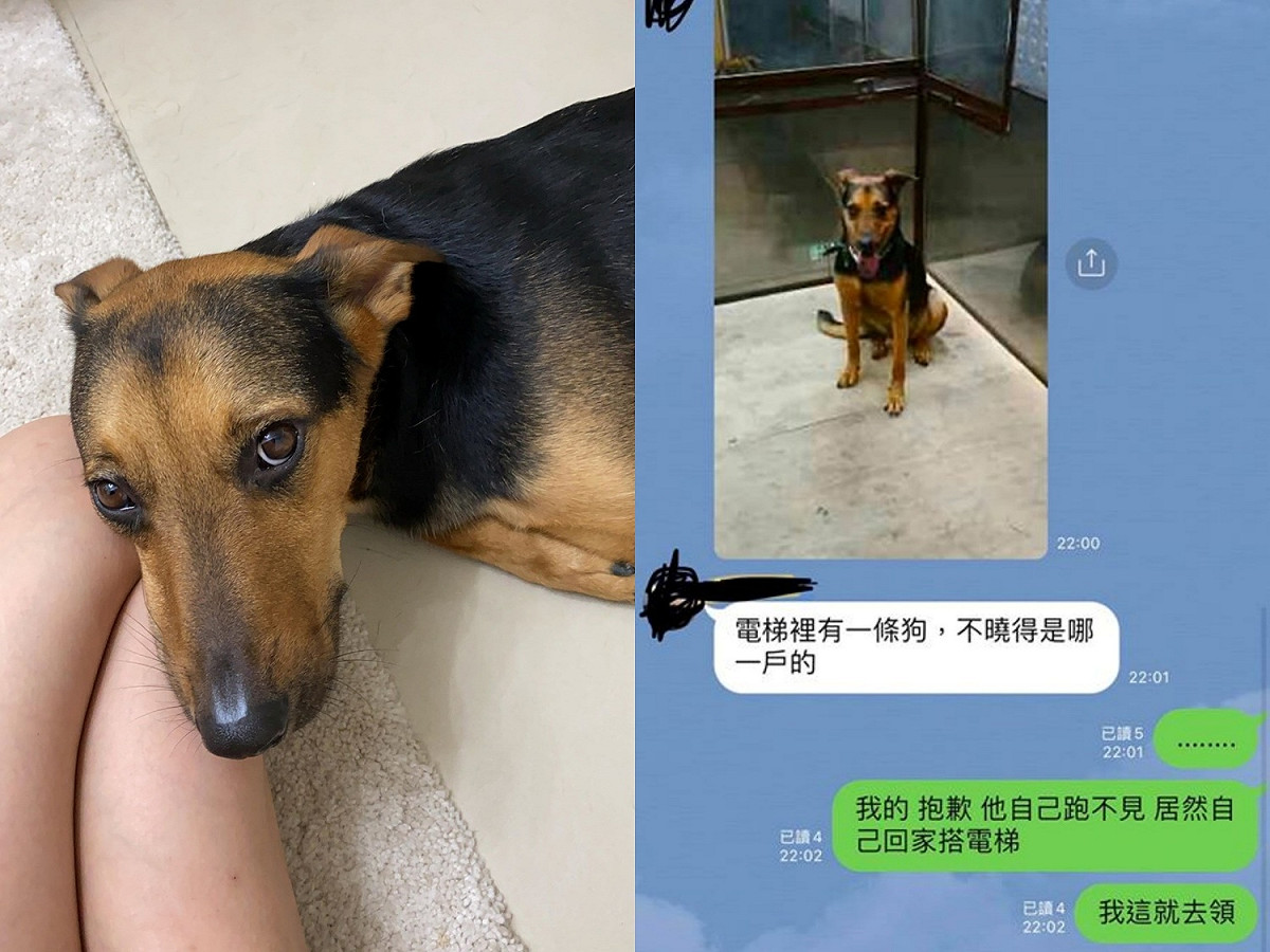 自己回家還搭電梯。 圖／申小姐提供