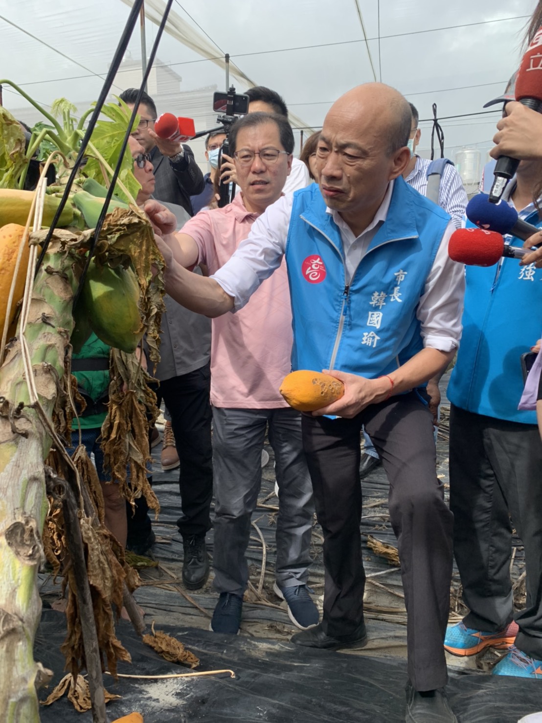 韓國瑜一早就到美濃視察木瓜災損情形。 圖：高雄市政府/提供