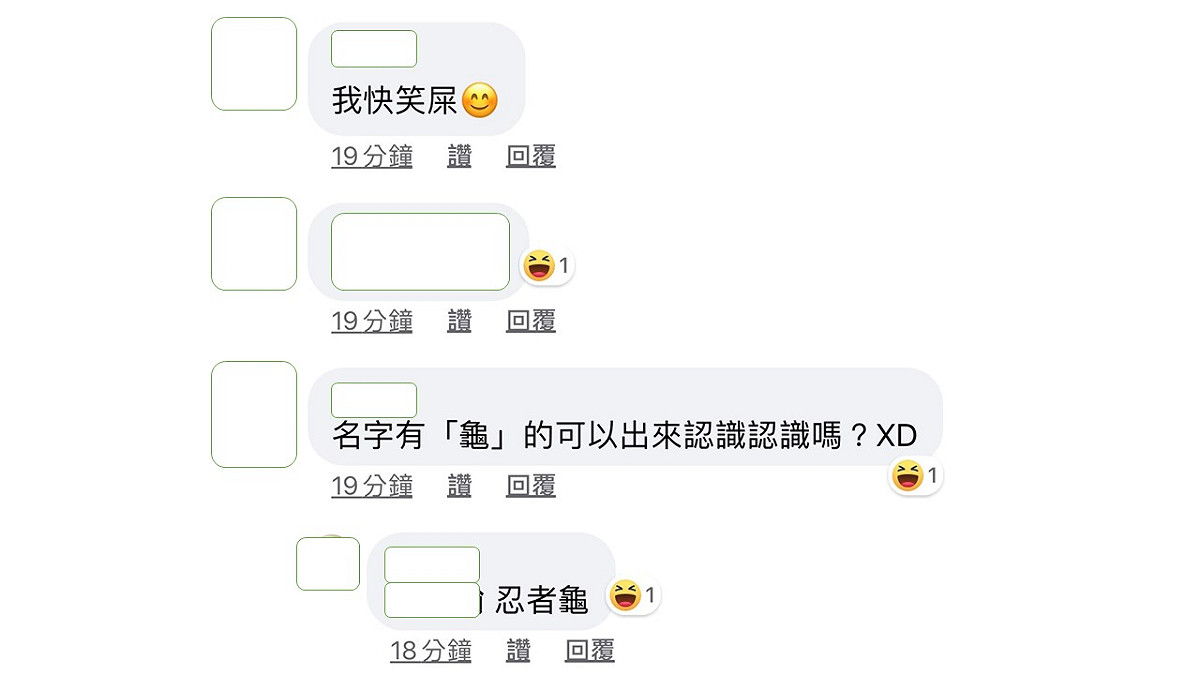 網友笑稱只有忍者龜能免費登島了吧。 圖：擷取臉書社團