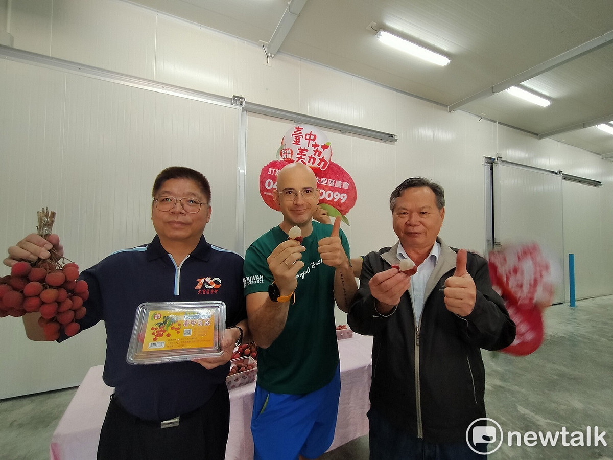 藝人吳鳳為台中冷鏈荔枝代言。 圖：唐復年/攝