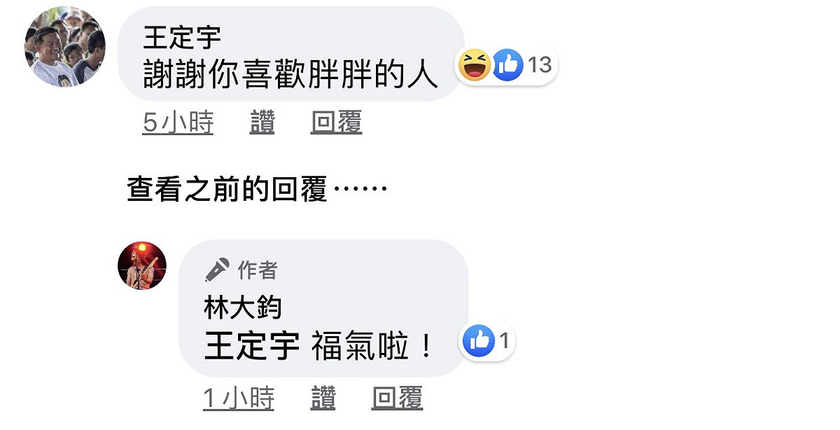 發文意外引出民進黨立委王定宇留言。 圖：翻攝林大鈞臉書
