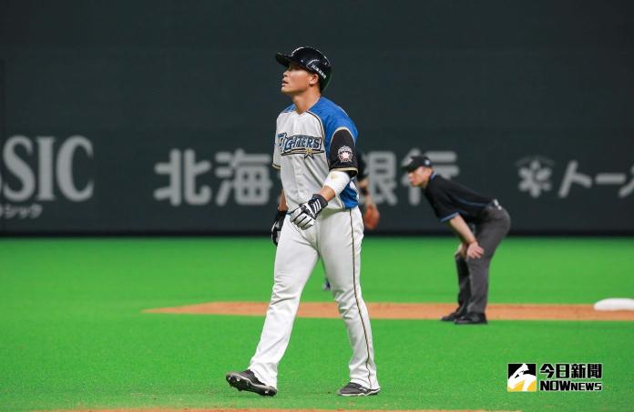 日本火腿鬥士隊外野手王柏融。 圖／記者葉政勳攝 , 2019.03.30