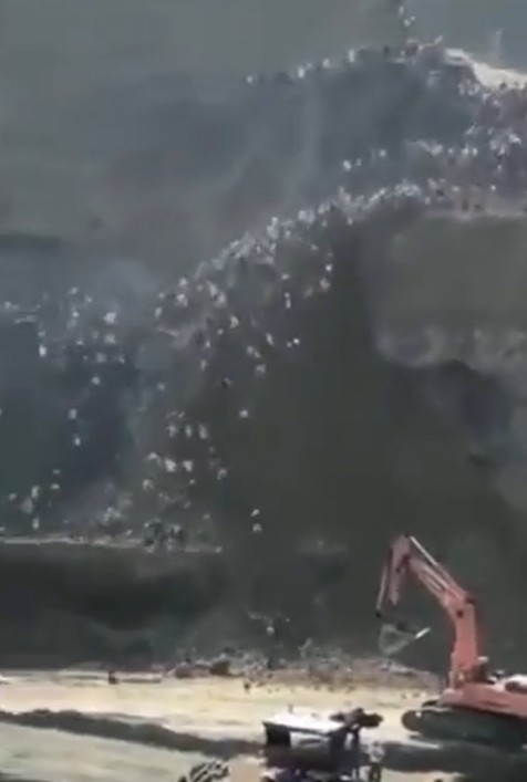 印度網友發布一段「狀似山洪爆發的憤怒印度人，群起肉身阻攔中國建商在印中邊界非法開發工地」的影片，引起網友熱議。  圖：翻攝Tashi Delek #MilkTeaAlliance推特