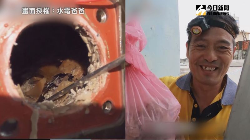 圖 : nownews/提供