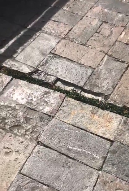 當地居民直擊地震發生時地面「一開一合」的驚悚場面。  圖：翻攝Ale Castillo推特