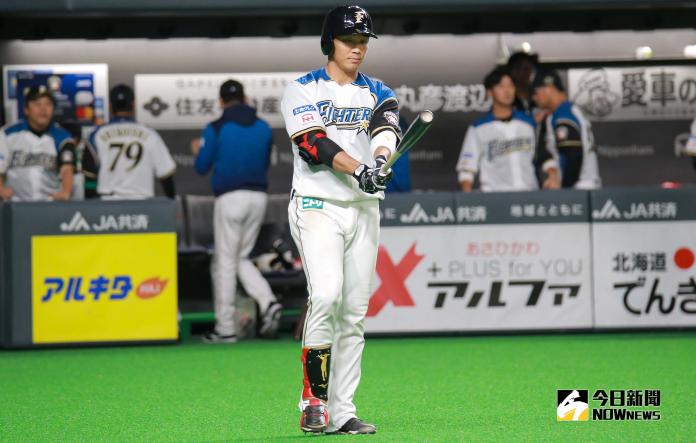 日本火腿鬥士隊外野手王柏融。 圖／記者葉政勳攝 , 2019.03.30