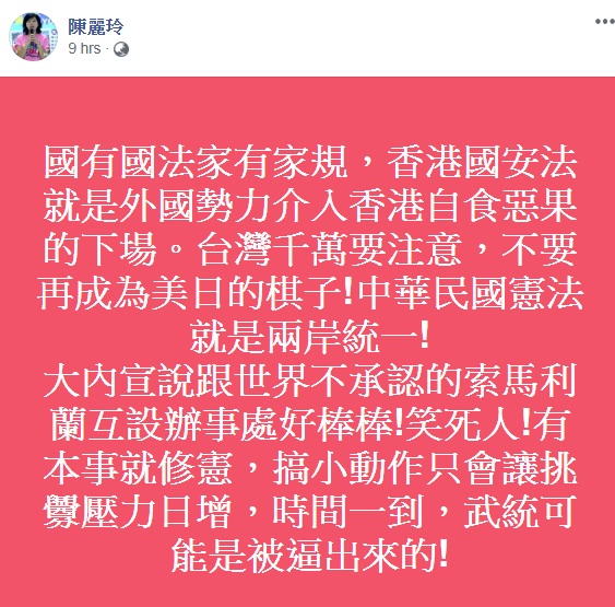 陳麗伶批評民進黨政府 圖:擷取自臉書