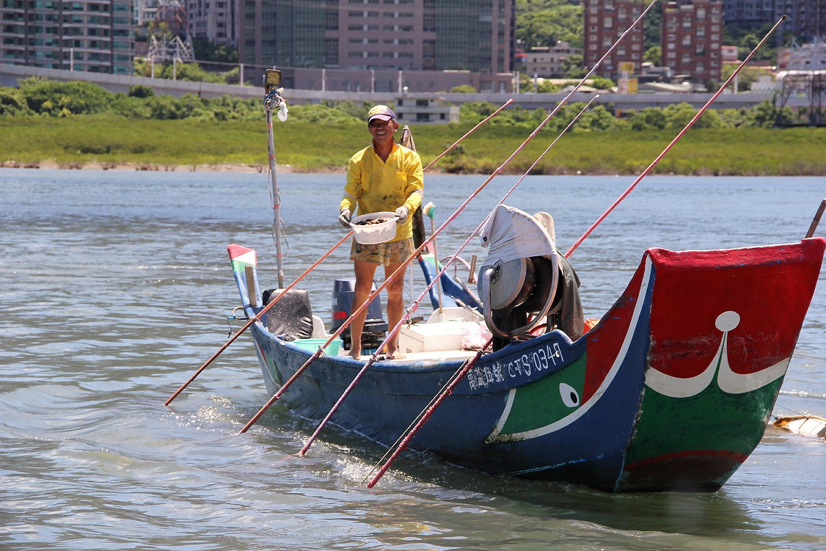 淡水河道上居然可以耙文蛤。 圖：淡水區漁會／提供