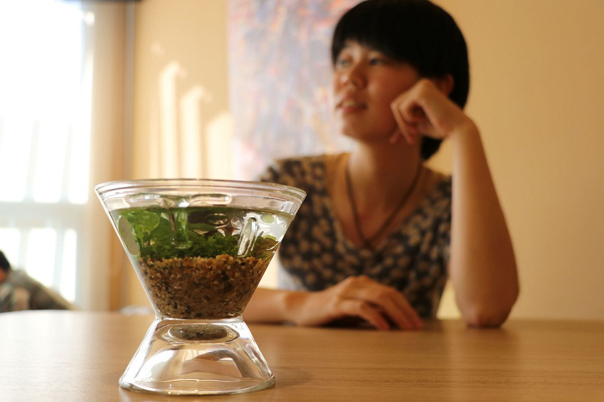 「人面陶罐玻璃罐」可當作水生植物瓶，效果十分療癒。  圖：十三行博物館提供