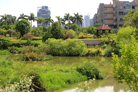 塭仔底溼地公園本身也是小生態圈，很適合帶孩子來認識常見水鳥。 圖：翻攝自新北水漾網站